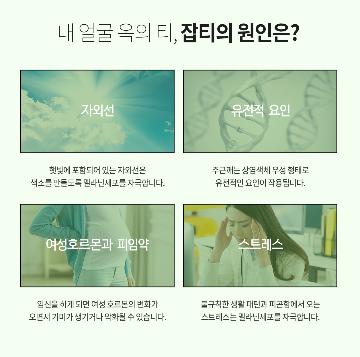 내 얼굴 옥의 티, 잡티의 원인은? 자외선 햇빛에 포함되어 있는 자외선은 색소를 만들도록 멜라닌세포를 자극합니다. 유전적요인 주근깨는 상염색체 우성 형태로 유전적인 요인이 작용됩니다. 여성호르몬과 피임약 임신을 하게 되면 여성 호르몬의 변화가오면서 기미가 생기거나 악화될 수 있습니다. 스트레스 불규칙한 생활 패턴과 피곤함에서 오는스트레스는 멜라닌세포를 자극합니다.