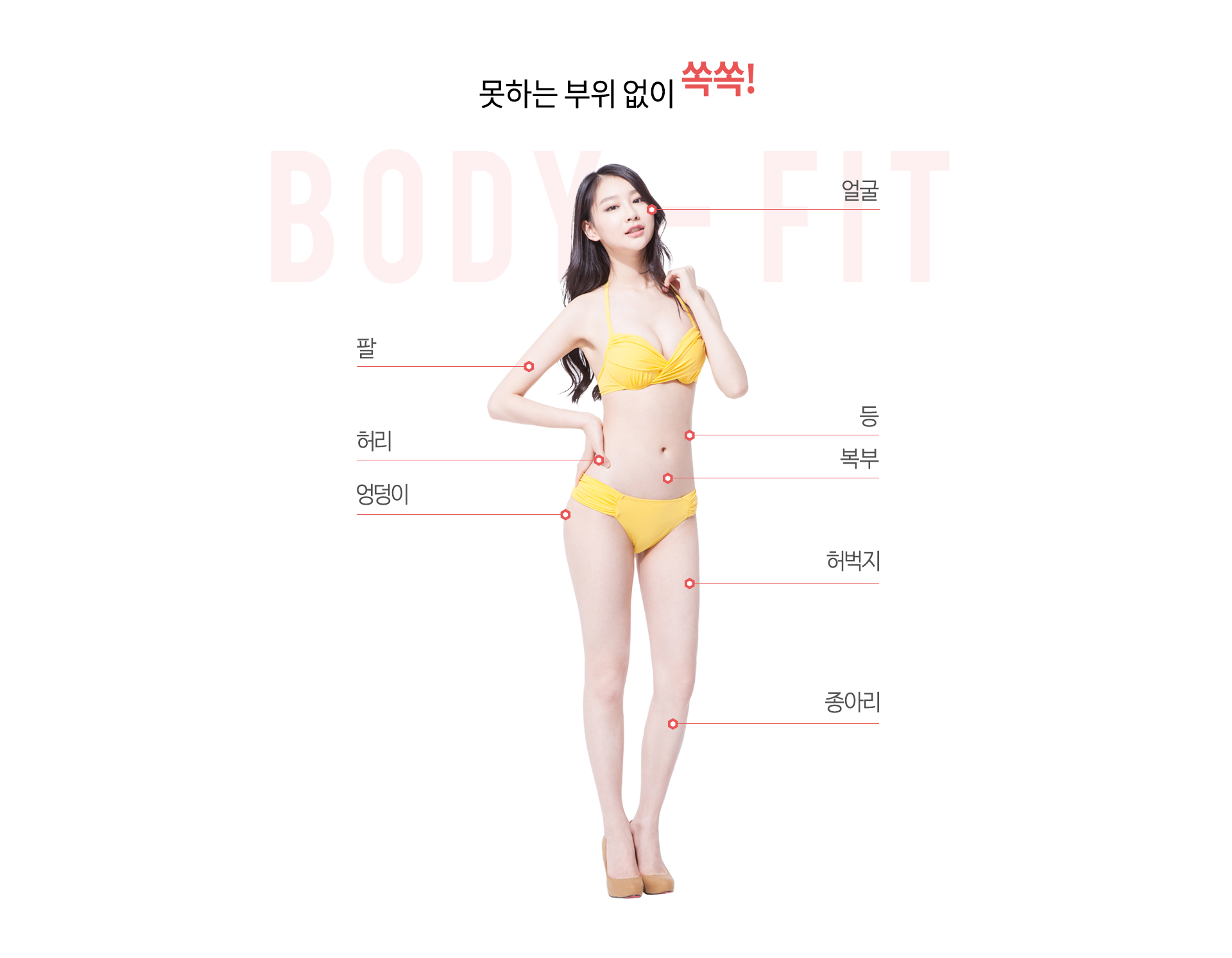 지방흡입부위 얼굴, 팔,허리,엉덩이,등,복부,허벅지,종아리